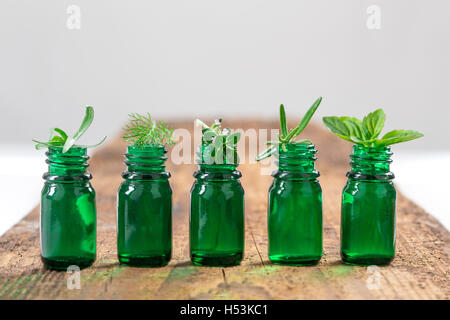 Grüne Flasche ätherisches Öl mit frischen Kräutern und Heilpflanzen Stockfoto