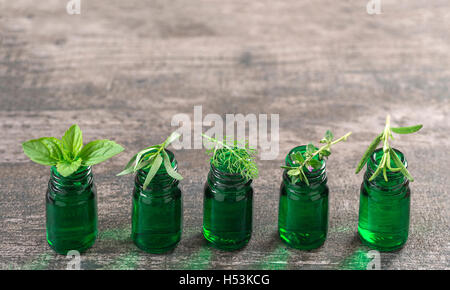 Grüne Flasche ätherisches Öl mit frischen Kräutern und Heilpflanzen Stockfoto