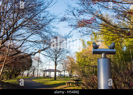 Yuhi keine Oka im Sakuragaoka Park, Tama City, Tokyo, Japan Stockfoto