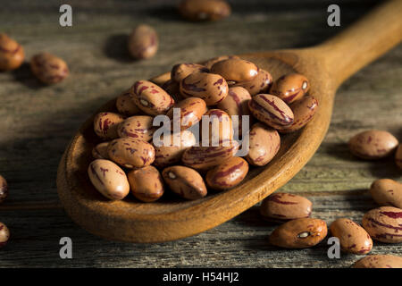 Gesunde Bio Cranberry Rohbohnen Ready to Cook Stockfoto