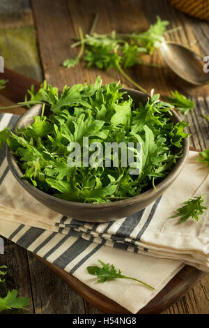 Rohe grüne Bio-Baby-Kale in eine Schüssel geben Stockfoto