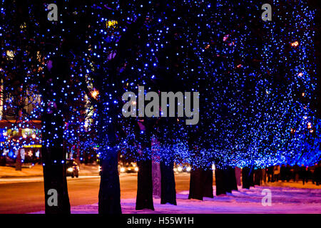 Bäume auf Straße mit blue Christmas Lights Girlanden verziert Stockfoto