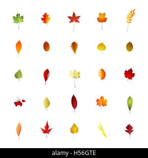 Satz von Herbstlaub auf weißem Hintergrund. Vektor-illustration Stock Vektor