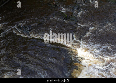 Bei Benalder Street Bridge Kelvin River in Glasgow. Stockfoto