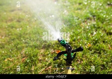 Nahaufnahme eines Sprengers eine Gartenbewässerung. Stockfoto
