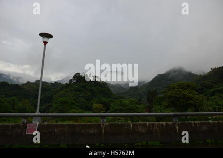 Ein Dichter Nebel bekleidet das Feld Stockfoto