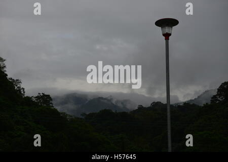 Ein Dichter Nebel bekleidet das Feld Stockfoto