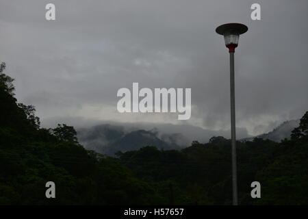 Ein Dichter Nebel bekleidet das Feld Stockfoto