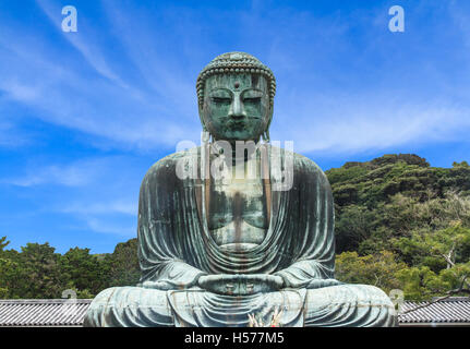 Buddha-Daibutsu Kotoku-in Tempel, Kamakura-Stadt, Metro Tokyo, Japan. Blauer Himmelshintergrund. Stockfoto