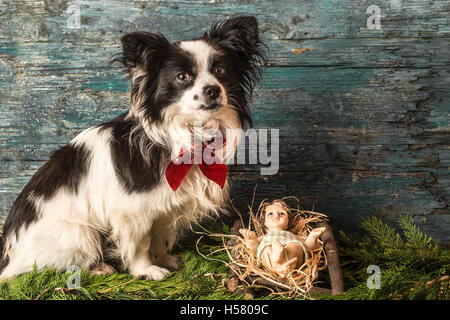 Weihnachten Hintergrund, Baby Jesus in seiner Krippe und Hund Stockfoto