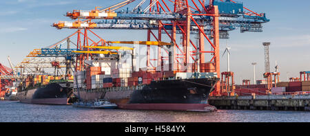 Panorama von Container-Feederschiffe, laden im Hamburger Containerhafen im Licht oft der späten Nachmittagssonne Stockfoto