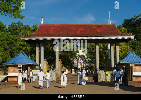 Website von dem Bodhi-Baum gepflanzt 249 v. Chr. Jaya Sri Maha Bodhi, Mahamewna Gärten, Anuradhapura, Sri Lanka Stockfoto