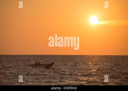 Fischerboot bei Sonnenuntergang, Kalpitiya Halbinsel, Sri Lanka Stockfoto