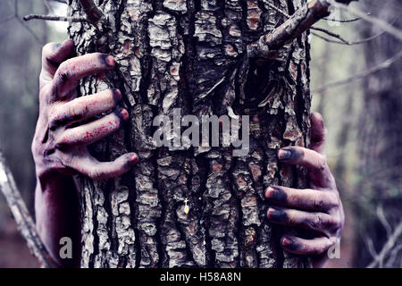 Nahaufnahme der blutigen und beängstigend Hände eines Zombie oder Monster, das sich hinter einem Baum im Wald versteckt Stockfoto