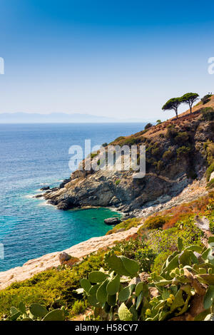 Cristal Meerwasser in der Nähe von Pomonte, Insel Elba Stockfoto