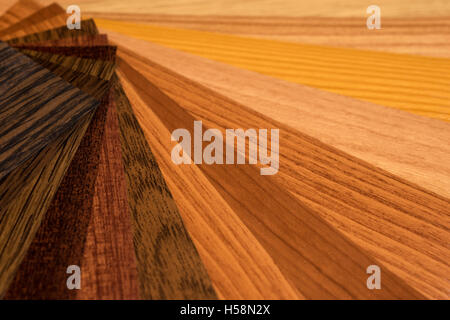 Farbpalette und Holzstruktur Proben Guide Stockfoto