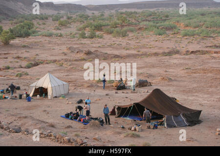 Camping in den Dünen. Kamel Trekking in der Sahara Wüste bei Zagora in Southerm Marokko. Zeigt Stammesangehörigen, Kamele und Beduinen-Zelt Stockfoto