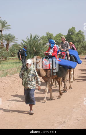 Ein lokaler Guide führt Touristen aus dem Westen auf einem Kamelritt durch ein Dorf Oase in der Wüste Sahara in Südmarokko Stockfoto