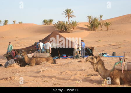 Touristen in der Wüste Camp bei einem Kamel Trek in der Sahara in der Nähe von Zagora in Southerm Marokko. Gezeigt Kamele ruhen und Beduinenzelt Stockfoto