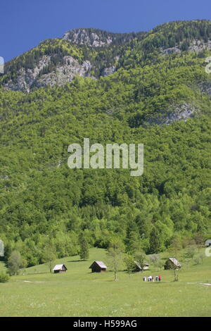 Eine Ferne walking-Gruppe in alpinen Gebieten in der Nähe von Lake Bohinji im Triglav National Park, Nordslowenien. Stockfoto