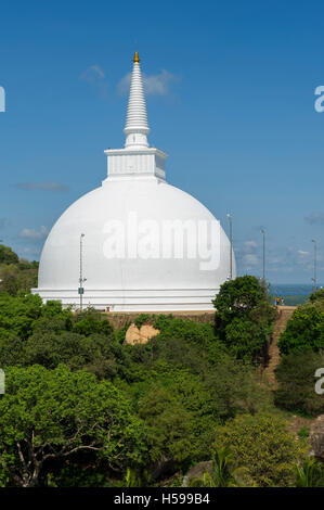 Mahaseya Dagoba, Mihintale Tempel, Anuradhapura, Sri Lanka Stockfoto