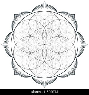 Vektor Kontur monochrome Gestaltung Mandala Heilige Geometrie Abbildung Samen Blume des Lebens Lotus weißen Hintergrund isoliert Stock Vektor