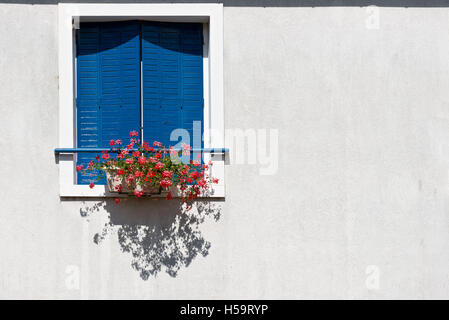 Eine typische blaue Fensterläden Fenster mit Blumen in einer Fenster-Box in einer französischen Heimat an einem sonnigen Tag Stockfoto