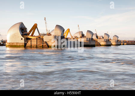 Thames Barrier genommen am späten Nachmittag unter blauem Himmel Bedingungen, London. Stockfoto