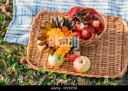 Saftige Äpfel in einem Korb Tablett, durch gefallene Blätter im Herbst umgeben. Schönen Zweig mit trockenen liegen herum. Stockfoto