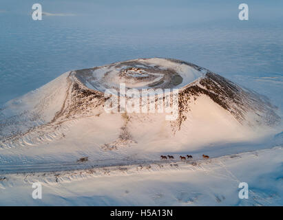 Draufsicht der Islandpferde im Winter durch Skutustadagigar Pseudo-Krater, Myvatn, Nordisland Stockfoto