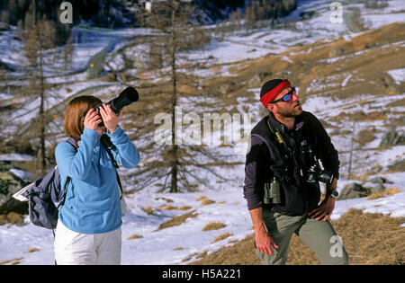 Naturfotografen in Valsavarenche, Nationalpark Gran Paradiso, Valle d ' Aosta, Italien Stockfoto