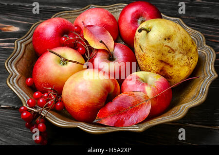 Ernten Sie Äpfel im Herbst Sorten in stilvolle Vase für Obst Stockfoto