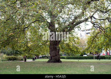 Brunswick Square Gardens, London, UK Stockfoto