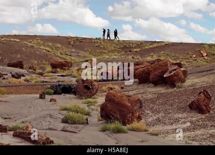 Menschen wandern im Petrified Forest National Park in Arizona. Digital eingestellt. Stockfoto