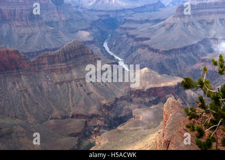 Colorado River durch den Grand Canyon National Park Arizona USA Stockfoto