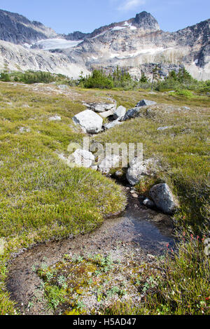 Kleinen Bach in Teufels Punchbowl über 3000 Fuß über dem Meeresspiegel (Skagway, Alaska). Stockfoto