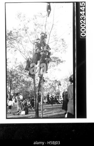 Ein Foto von 1890-1930 zeigt sechs Männer, die auf einen Baum klettern und eine Menschenmenge überblicken, möglicherweise bei einer öffentlichen Veranstaltung oder Versammlung. Das Bild spiegelt die sozialen und kulturellen Praktiken der Zeit des späten 19. Und frühen 20. Jahrhunderts wider. Stockfoto