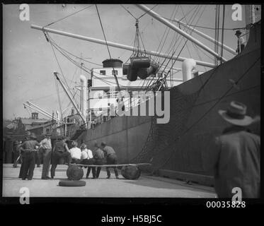 MV NEPTUNISCHEN Arbeiter entladen Ölfässer für H C Schlitten Johnstons Bay in Sydney Stockfoto