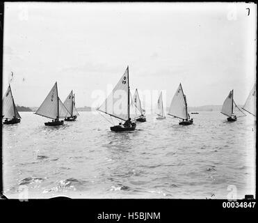 Ein Foto von sechs Kadettenjollen, die aus dem Prince Edward Yacht Club in Point Piper, Sydney, segeln. Dieses Bild zeigt eine lokale Segelveranstaltung, bei der die Teilnahme der Jugendlichen am Sport betont wird. Stockfoto