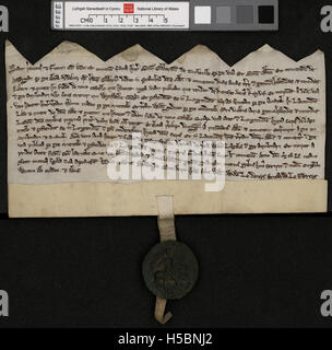 Dieser Titel bezieht sich auf eine Urkunde über die Landgüter Penrice und Margam. Die Urkunden beziehen sich wahrscheinlich auf Grundbesitz oder historische Transaktionen. Stockfoto