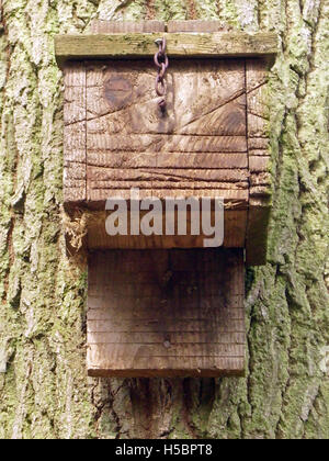 Vorderansicht der Fledermauskasten auf Baumstamm Stockfoto