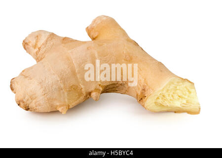 Ingwer-Wurzel auf dem weißen Hintergrund isoliert. Stockfoto