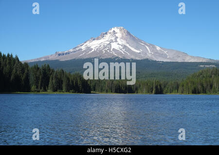 Mount Hood von Trillium Lake, Oregon, USA Stockfoto
