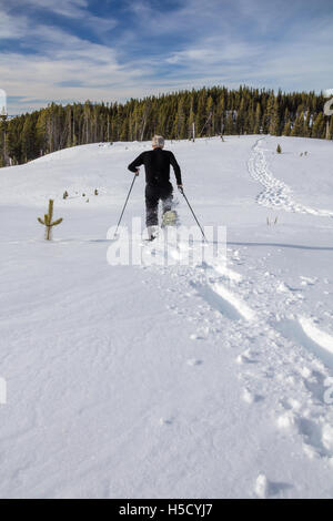 Mann, Schneeschuhwandern bergab im Neuschnee Stockfoto