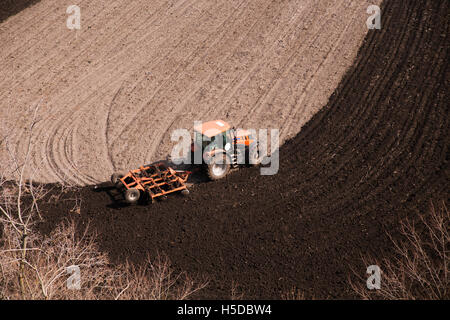 Traktor Pflüge ein Feld im Frühjahr begleitet von Saatkrähen Stockfoto