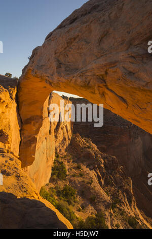 Canyonlands National Park in Utah Insel im Himmel, Mesa Arch, bei Sonnenaufgang Stockfoto