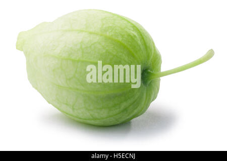 Einzelne Tomatillo (Physalis Philadelphica) in seine Schale. Beschneidungspfade Stockfoto