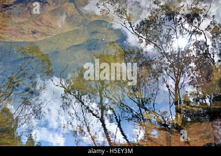 Baum und Himmel Reflexionen in einem flachen Sandstein Bachbett Stockfoto