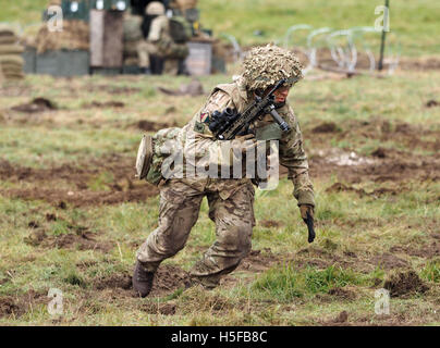 Salisbury, Wiltshire, UK. 20. Oktober 2016. Britische Armee kombiniert Arme Demonstration auf dem Salisbury Plain vor 500 VIPs. Mercian Regiment setzen auf die Feuerkraft Display mit zusätzlichen Einheiten von der RAF und mit zwei Army Air Corps Apache-Hubschrauber auch mitmachen. Bildnachweis: Dorset Media Service/Alamy Live-Nachrichten Stockfoto