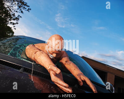 Crash-Dummy durch Windschutzscheibe Stockfoto